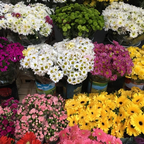 gaziantep yeditepe çiçekçi